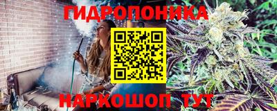 дмт Бугуруслан